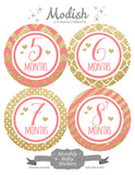 Coral Gold Monthly Baby Stickers