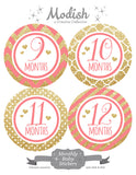 Coral Gold Monthly Baby Stickers