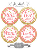 Coral Gold Monthly Baby Stickers