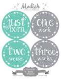 Teal Gray Arrows Month Stickers