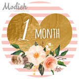 Pink Gold Heart Monthly Baby Stickers