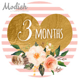 Gold Heart Pink Stripes Closet Dividers