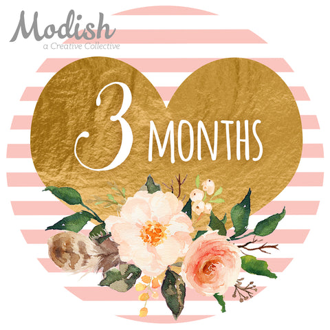 Pink Gold Heart Baby Month Stickers - Stripes Flowers Baby Girl – Modish  Labels
