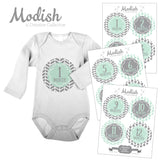 Tribal Arrows Mint Gray Closet Dividers