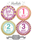 Gold Pink Purple Teal Monthly Baby Stickers