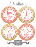Coral Gold Monthly Baby Stickers