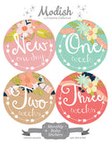 Arrows Tribal Flowers Monthly Baby Stickers