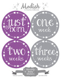 Purple Gray Arrows Month Stickers