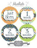 Arrows Dots Stripes Month Stickers