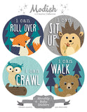 Woodland Animals Closet Dividers