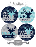 Deer Antlers Woodland Aqua Closet Dividers