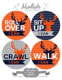 Deer Antlers Woodland Orange Closet Dividers