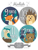 Woodland Animals Closet Dividers