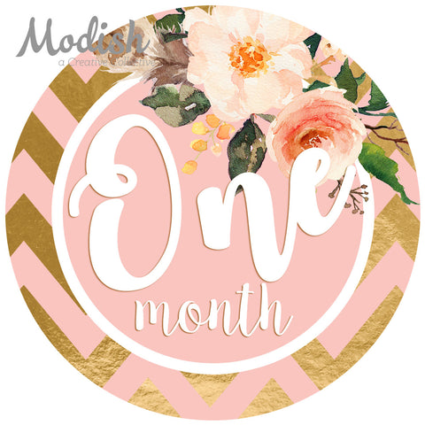 Floral Pink Mint Gold Monthly Baby Stickers - Baby Girl – Modish