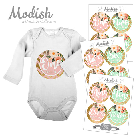Floral Pink Mint Gold Monthly Baby Stickers