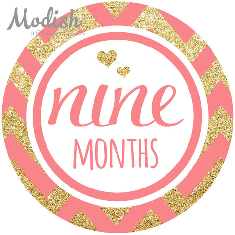 Blush Pink And Gold Baby Girl Month Stickers