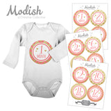 Coral Gold Monthly Baby Stickers