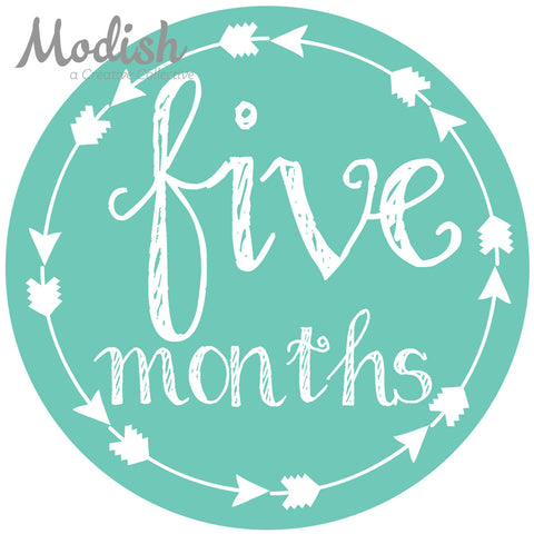Whimsical Arrows Dots Stripes Month Stickers – Modish Labels