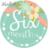 Arrows Tribal Flowers Monthly Baby Stickers