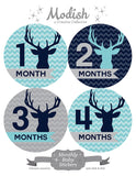 Deer Antlers Woodland Monthly Baby Stickers