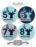 Deer Antlers Woodland Monthly Baby Stickers