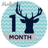 Deer Antlers Woodland Monthly Baby Stickers