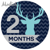 Deer Antlers Woodland Monthly Baby Stickers