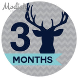 Deer Antlers Woodland Monthly Baby Stickers