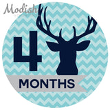 Deer Antlers Woodland Aqua Closet Dividers