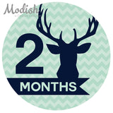 Deer Antlers Woodland Monthly Baby Stickers