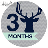 Deer Antlers Woodland Monthly Baby Stickers