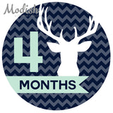 Deer Antlers Woodland Monthly Baby Stickers