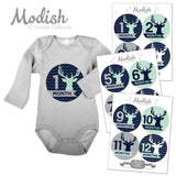 Deer Antlers Woodland Monthly Baby Stickers