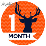 Deer Antlers Woodland Monthly Baby Stickers