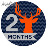 Deer Antlers Woodland Monthly Baby Stickers