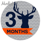 Deer Antlers Woodland Monthly Baby Stickers