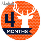 Deer Antlers Woodland Monthly Baby Stickers