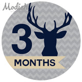 Deer Antlers Woodland Monthly Baby Stickers