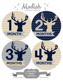 Deer Antlers Woodland Monthly Baby Stickers