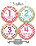 Gold Pink Purple Teal Monthly Baby Stickers