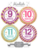 Gold Pink Purple Teal Monthly Baby Stickers