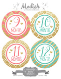 Coral Mint Gold Monthly Baby Stickers