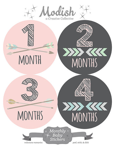 Baby Birds Baby Month Stickers – INKtropolis