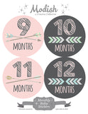 Tribal Arrows Pink Gray Baby Girl Month Stickers