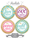 Gold Pink Purple Teal Monthly Baby Stickers