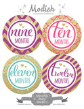 Gold Pink Purple Teal Monthly Baby Stickers