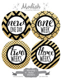 Gold Black Monthly Baby Stickers