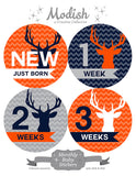 Deer Antlers Woodland Monthly Baby Stickers