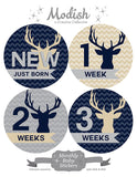 Deer Antlers Woodland Monthly Baby Stickers