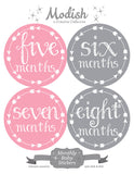 Pink Gray Arrows Month Stickers